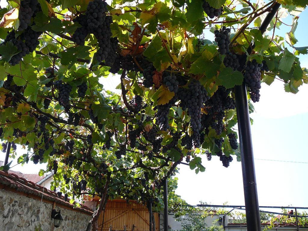 Guesthouse Argacho Stob Εξωτερικό φωτογραφία