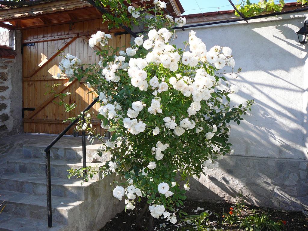 Guesthouse Argacho Stob Εξωτερικό φωτογραφία